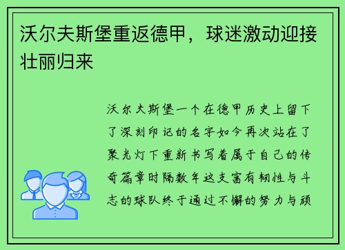 沃尔夫斯堡重返德甲，球迷激动迎接壮丽归来